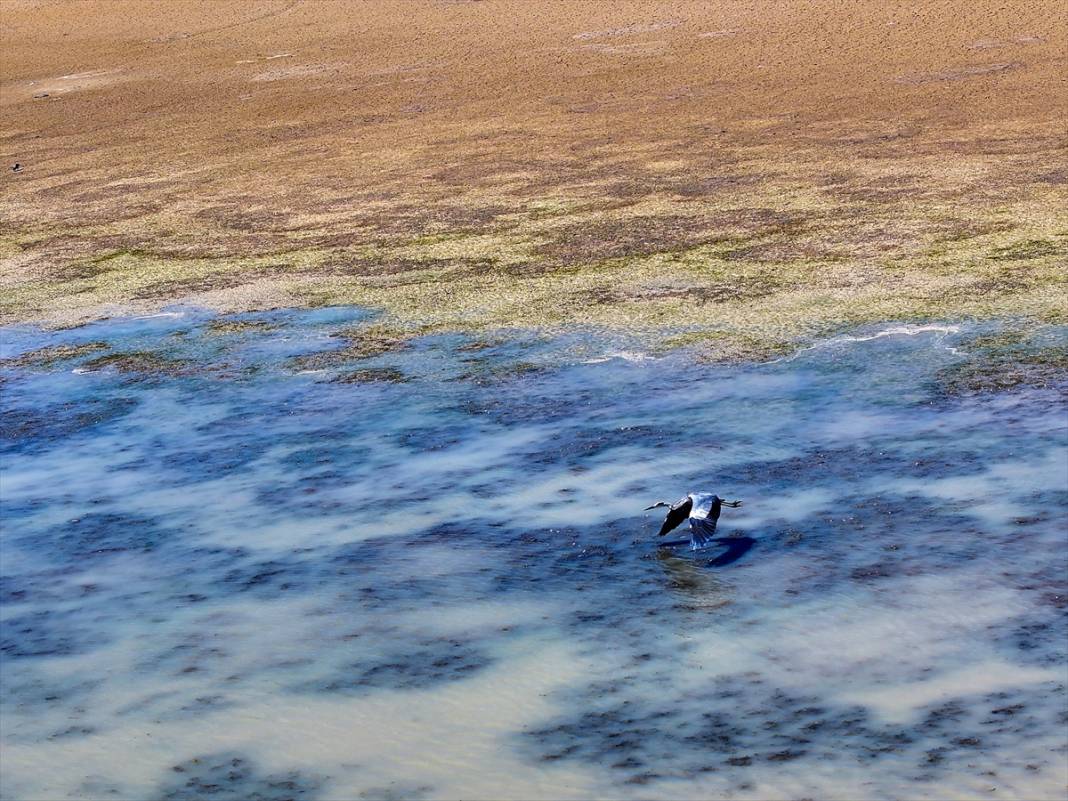 Rakamlar hiç bu kadar korkutmamıştı! Konya çölleşiyor 24